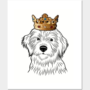 Aussiedoodle Dog King Queen Wearing Crown Posters and Art